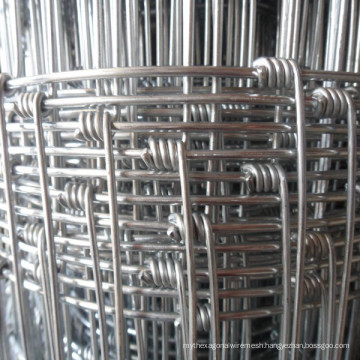 Sheep/Goat/Cattle Fence/Farm Fencing Galvanized Page Wire